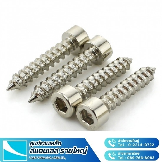 สกรูสแตนเลส
